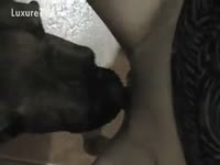 Filthy wife feeds twat to her pet